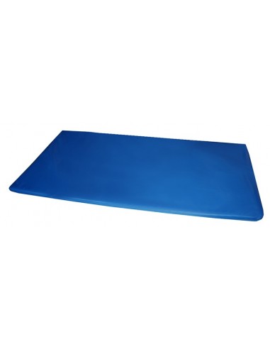 COLCHONETA REFORZADA 200 X 100 X 5CM DENSIDAD 20 (FUNDA IGNIFUGA SIN CANTONERAS)