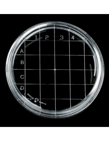 Placas de Petri cuadriculadas de PE desechables. Bolsa 20 uds