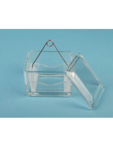 Cubeta de Tinción con tapa de vidrio. Gran resistencia. Iberomed
