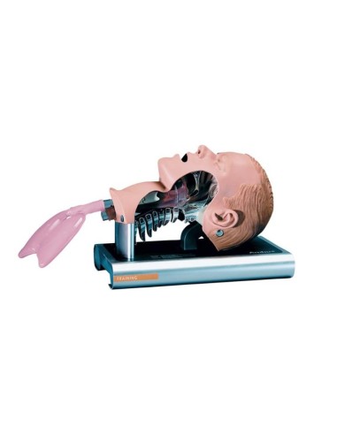 Ambu® Cabeza de Intubación
