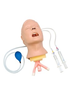 Maniquí avanzado para vías respiratorias Airway Larry | Iberomed