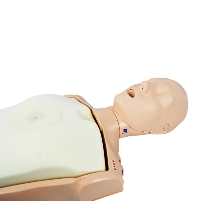 Maniquí con APP- PrestanCPR Adulto Bluetooth....