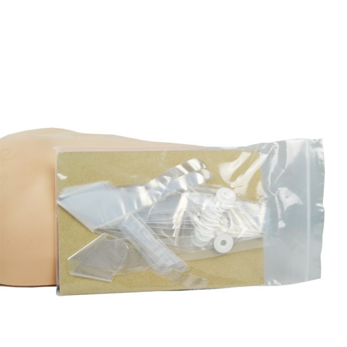 Maniquí con APP- PrestanCPR Adulto Bluetooth....