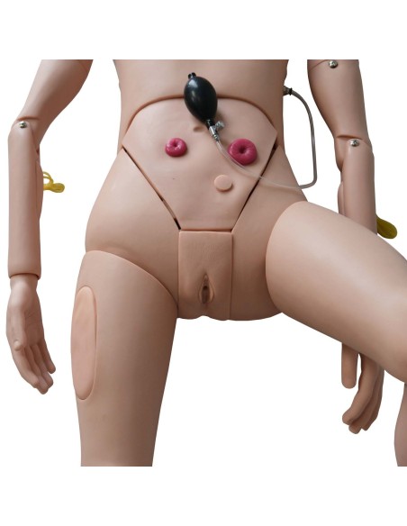 Maniquí para prácticas de enfermería mujer Bisexuado | Iberomed