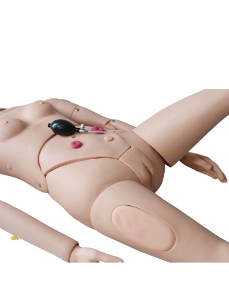 Maniquí para prácticas de enfermería mujer Bisexuado | Iberomed