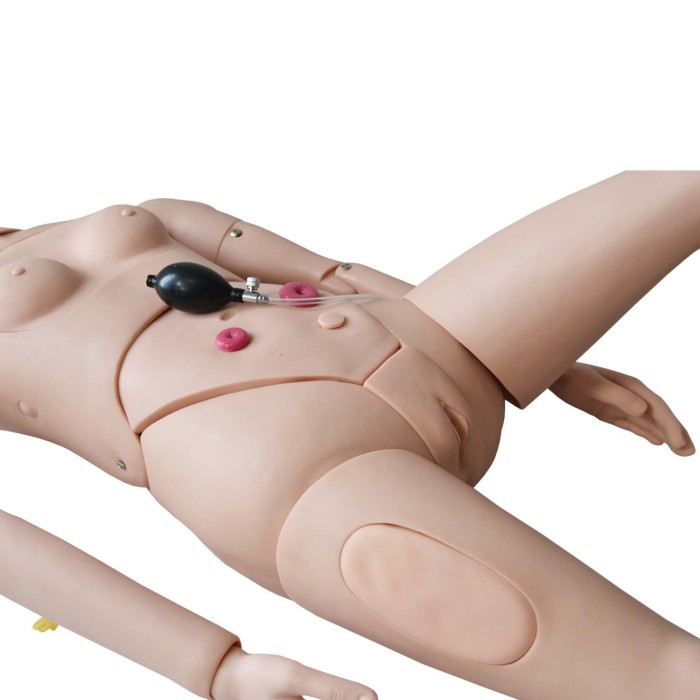 Maniquí de mujer para prácticas de enfermería...