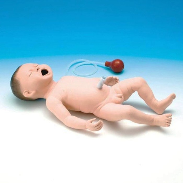 Maniquí neonatal cuerpo entero para intubación,...