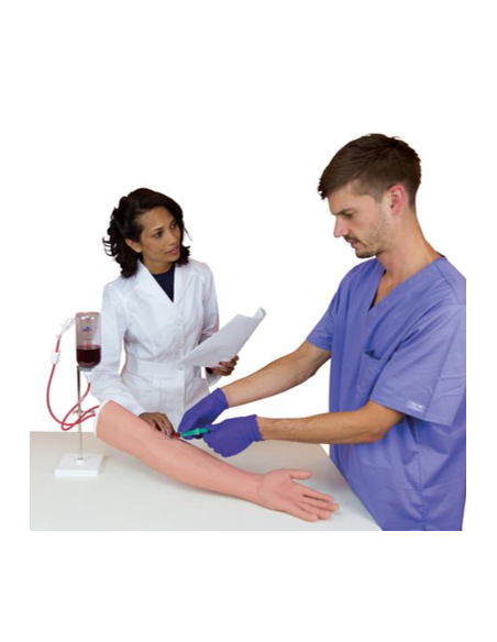 Modelo anatómico Brazo de inyección venoso LUJO | Iberomed