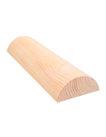 Tronco Propioceptivo