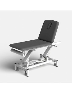 Camilla eléctrica PRO 201 2 cuerpos 250 kg | Iberomed