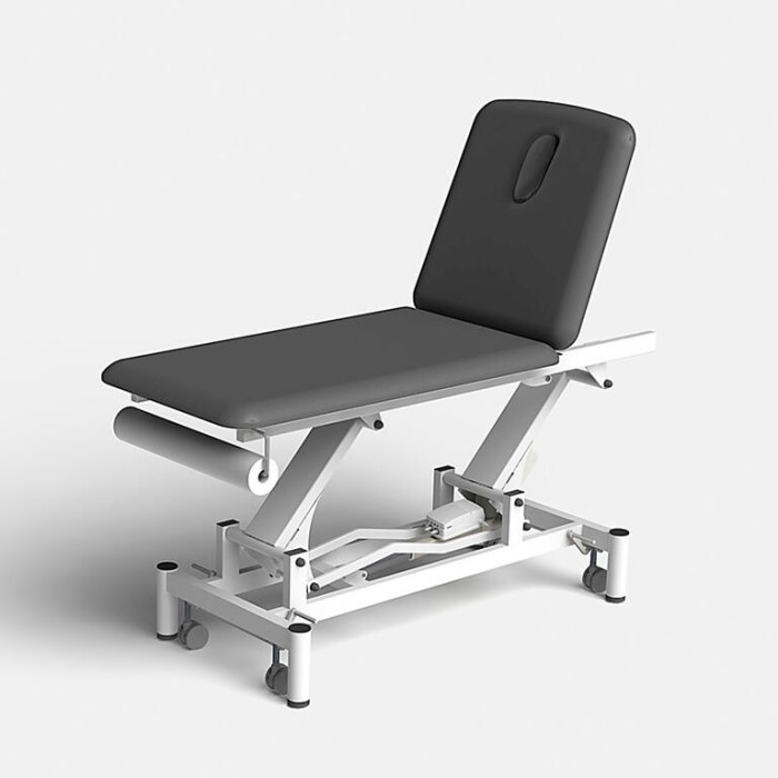 Camilla eléctrica de fisioterapia PRO 201 (2...