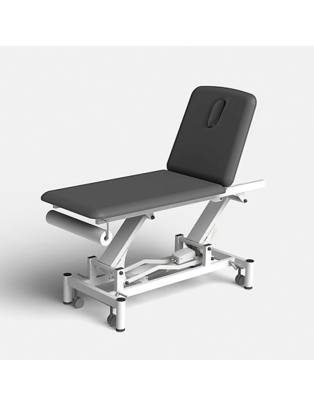 Camilla eléctrica PRO 201 2 cuerpos 250 kg | Iberomed