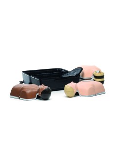Maniquí RCP adulto Little Anne Combo 6-Pack con QCPR Laerdal