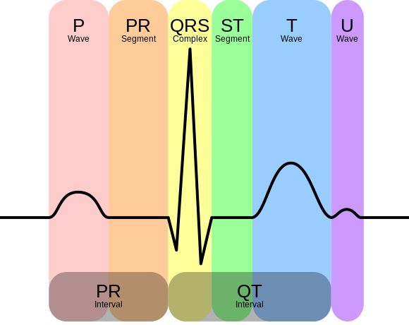 Electrocardiograma o ECG: observa tu corazón<span class="wtr-time-wrap after-title">Tiempo de Lectura: <span class="wtr-time-number">1</span> minutos</span>