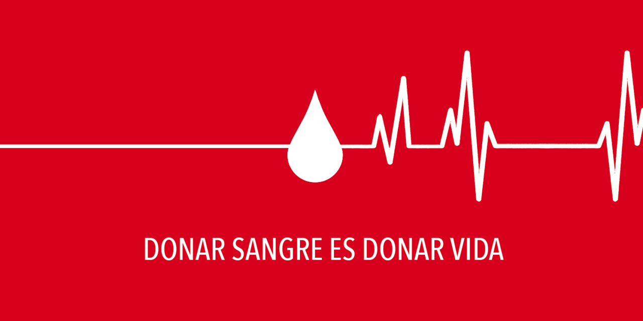 [Infografía] Donar sangre: requisitos y beneficios<span class="wtr-time-wrap after-title">Tiempo de Lectura: <span class="wtr-time-number">1</span> minutos</span>